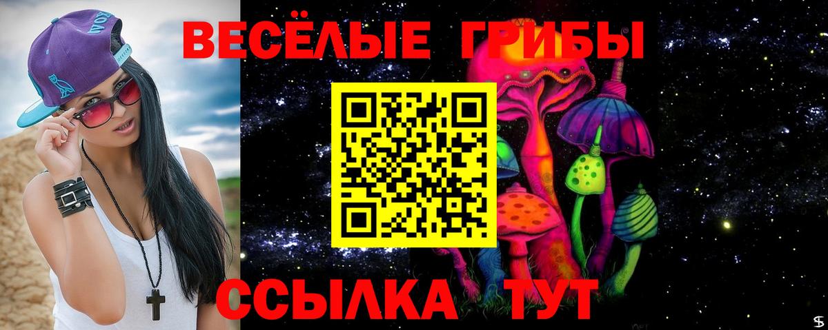 Галлюциногенные грибы GOLDEN TEACHER  Галлюциногенные грибы ЛСД  Мелеуз  Вход с VPN 