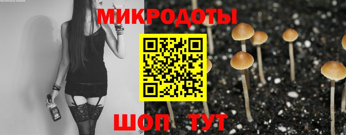Псилоцибиновые грибы мухоморы Мелеуз